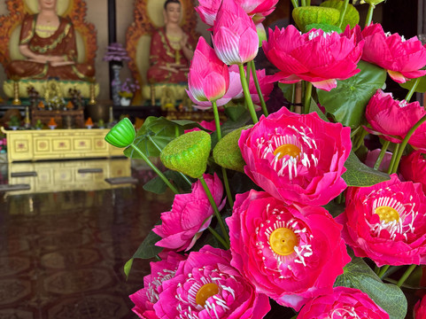 Mr. Peace's Tour Dalat-大勒必去景点