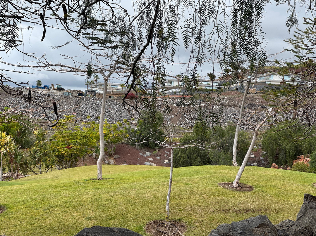 阿巴马花园套房主图