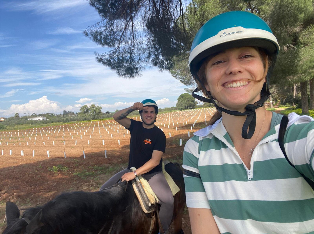 Centro Ecuestre Entrepinares-塞维利亚必去景点