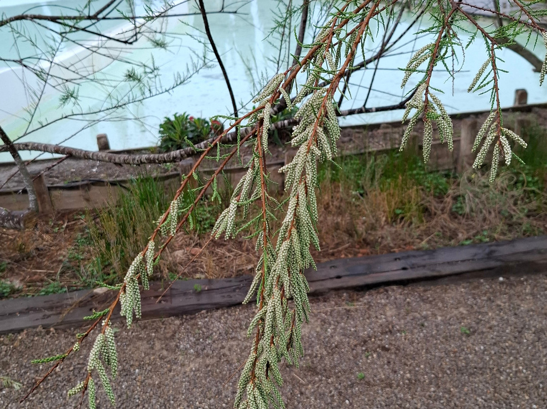 Ibiza Botánico Biotecnológico-Sant Rafel必去景点