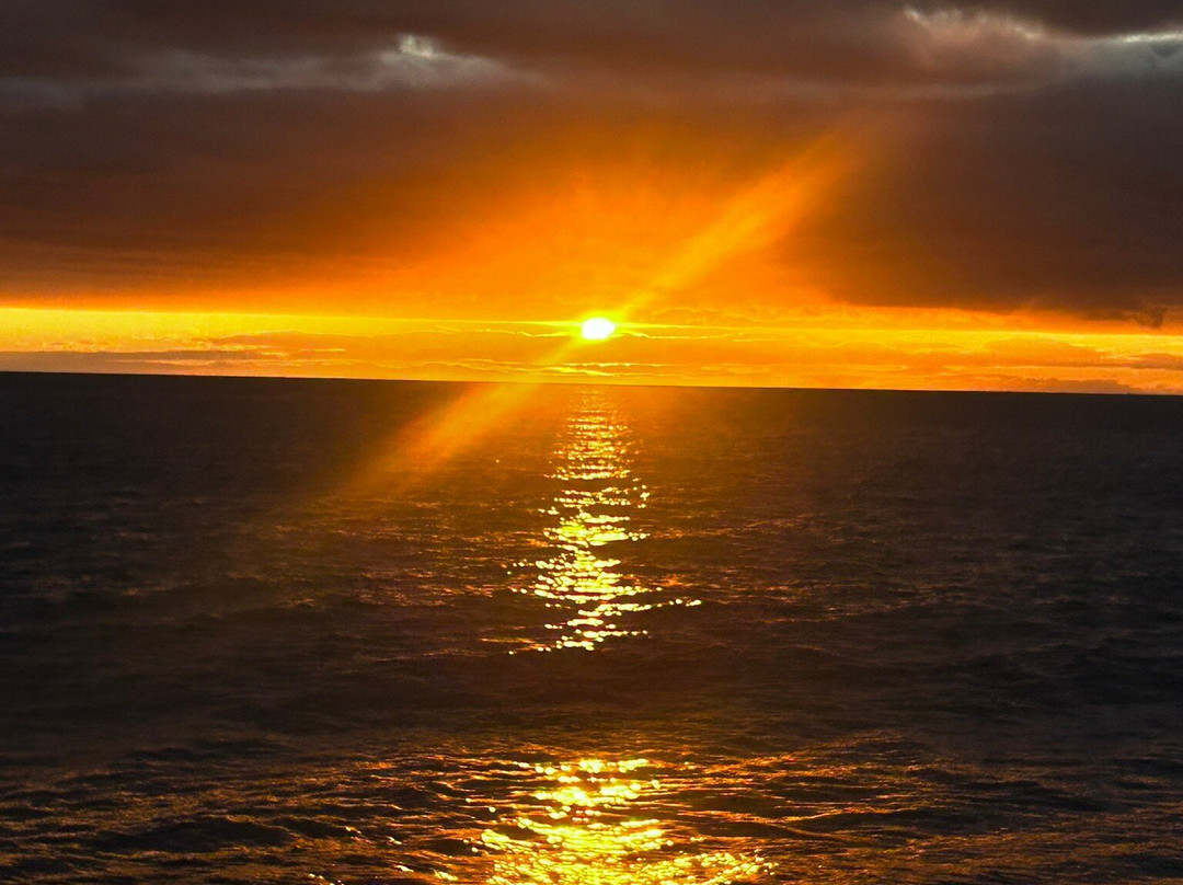 Ocean Beach Club Gran Canaria主图