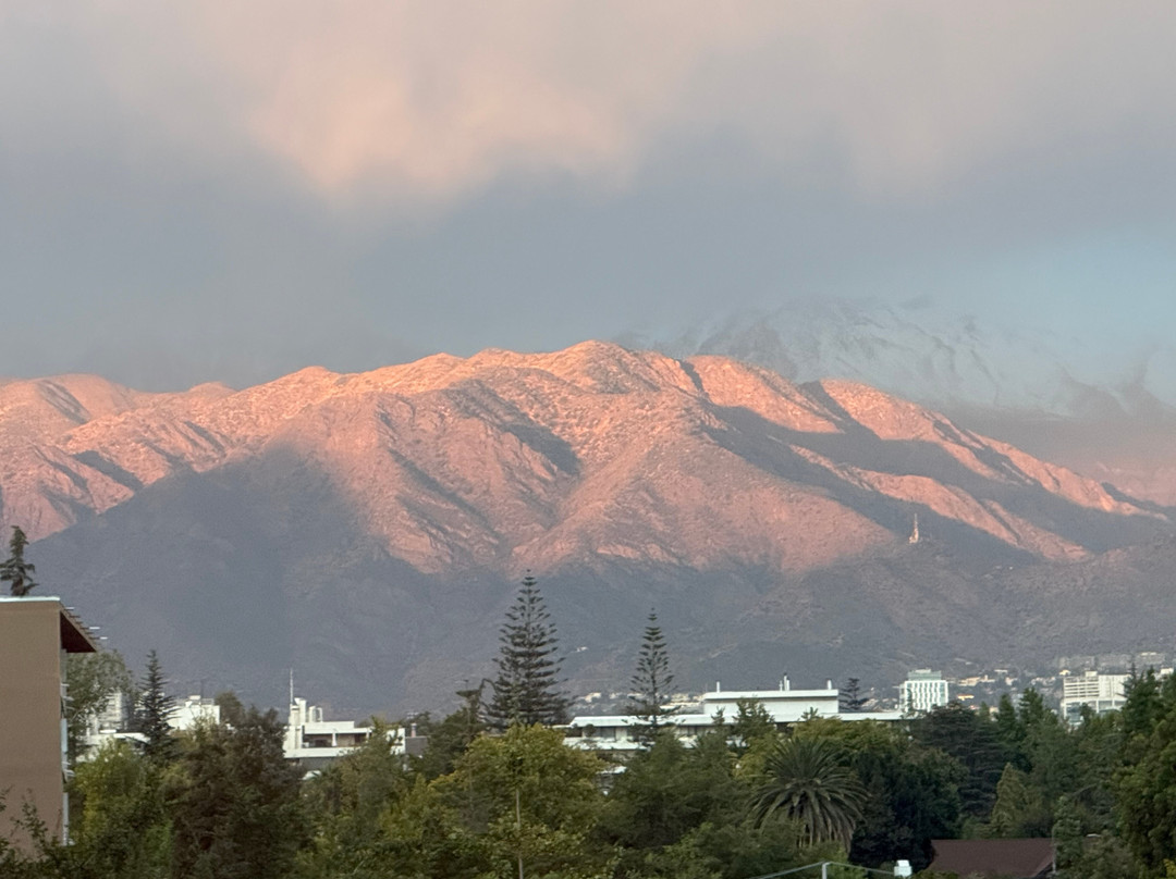 比达索亚精品酒店主图