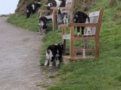 Valley of Rocks Walk-South West Coast Path-林顿必去景点