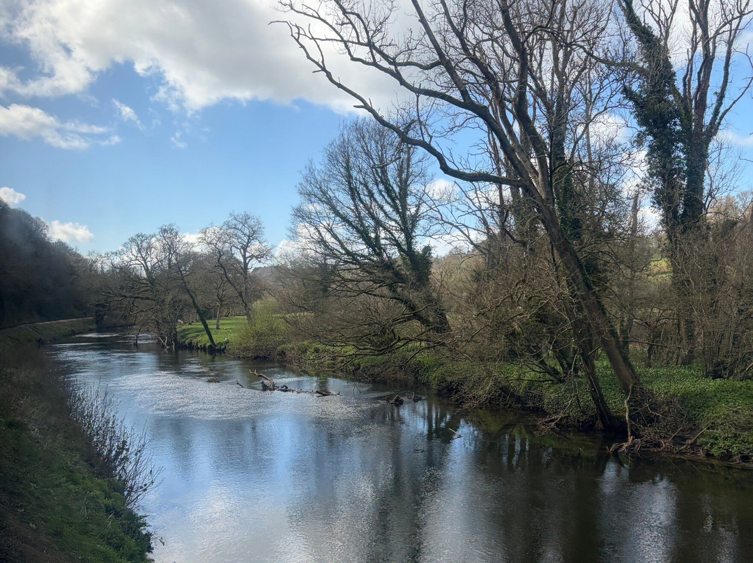 South Devon Railway-Buckfastleigh必去景点