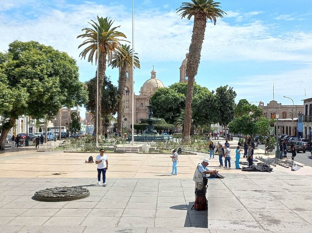 Catedral de Tacna-塔克纳必去景点