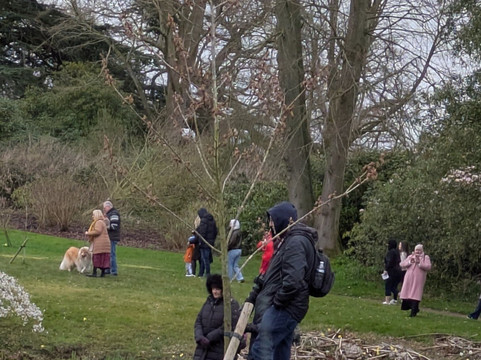 Cholmondeley Castle Gardens-Cholmondeley必去景点