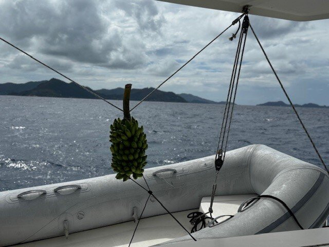 Catlante Catamarans-布洛涅-比扬古必去景点