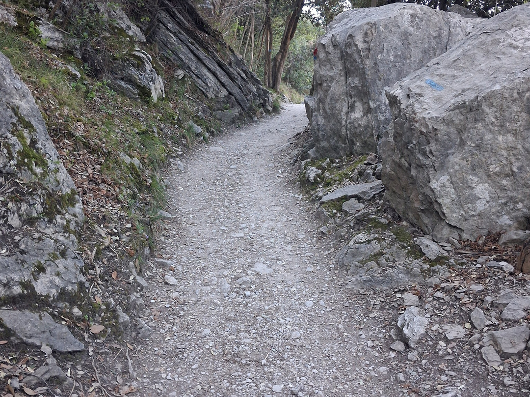 Sentiero panoramico Busatte Tempesta-托尔博莱必去景点