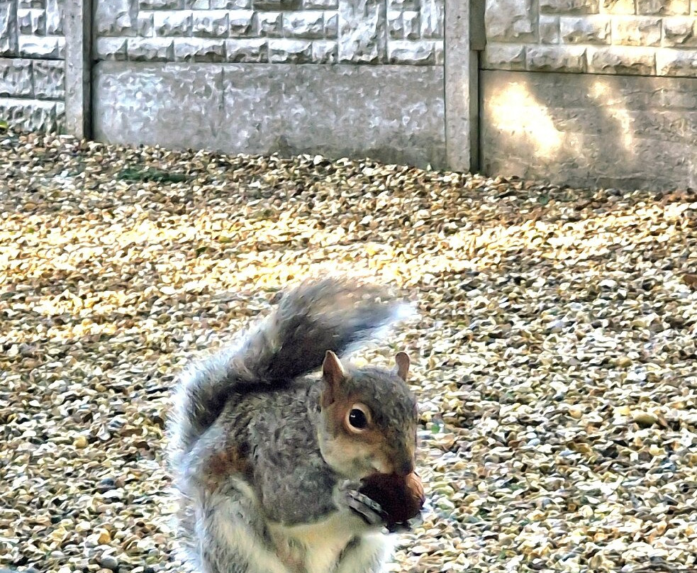 Happy Mount Park-莫克姆必去景点