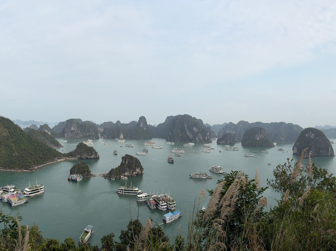 Verdure Lotus Cruises-团洲岛必去景点