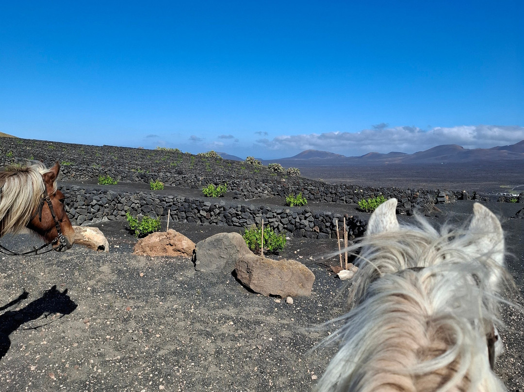 Lanzarote a Caballo-兰萨罗特必去景点