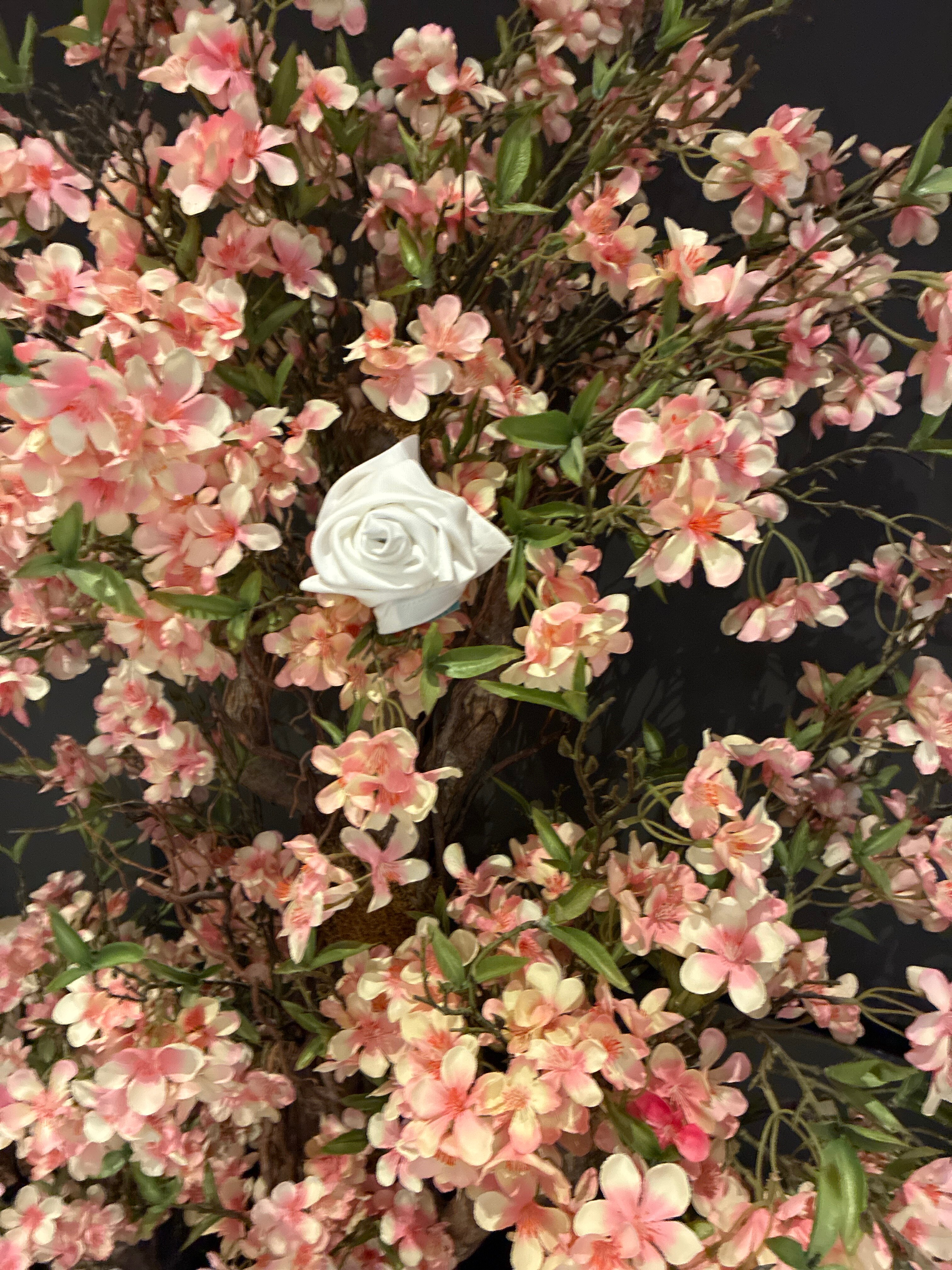 自由法贝酒店-官方