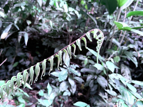 Destination Services CR-利比里亚必去景点