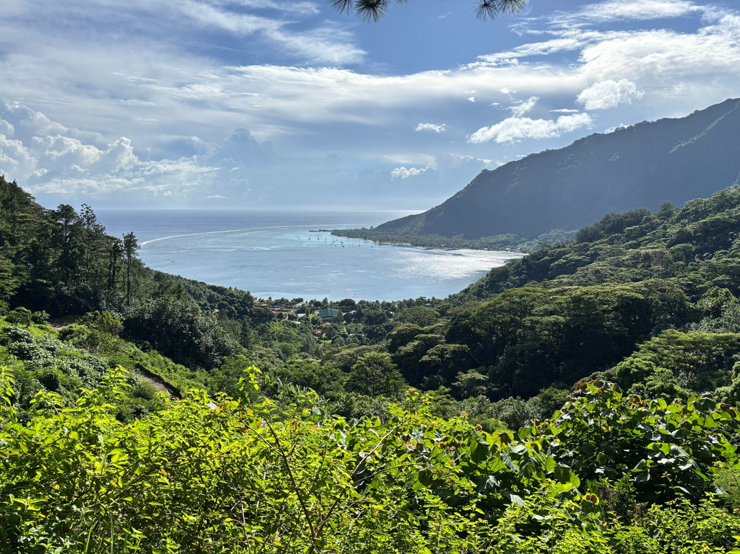 Magic Mountain Overlook-莫雷阿岛必去景点