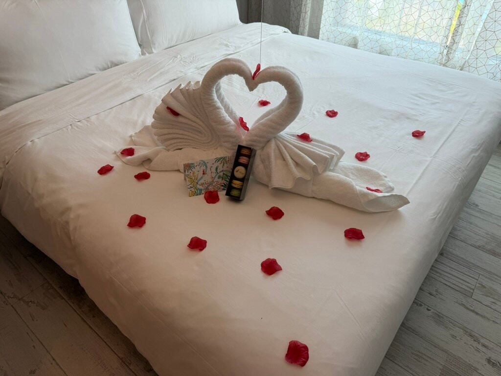 新加坡悦乐圣淘沙酒店 - 远东集团主图