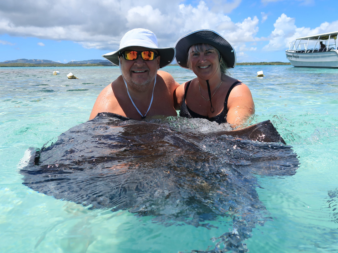 Stingray City-安提瓜必去景点