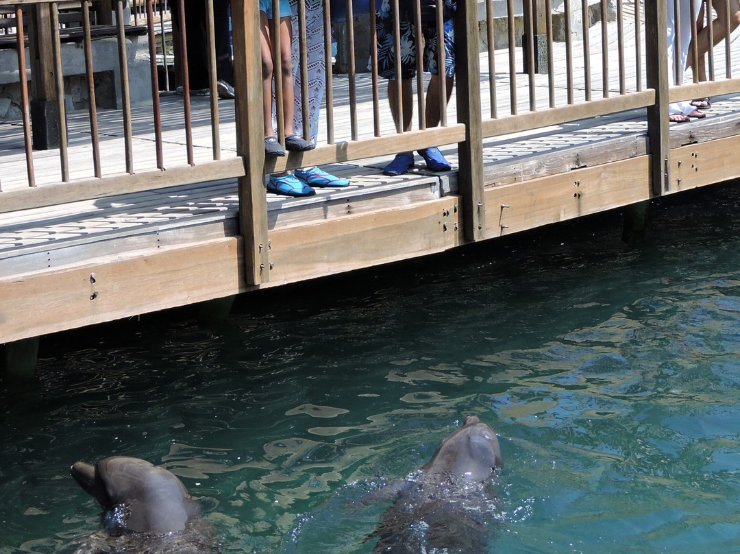 Acuario Mundo Marino-圣玛尔塔必去景点