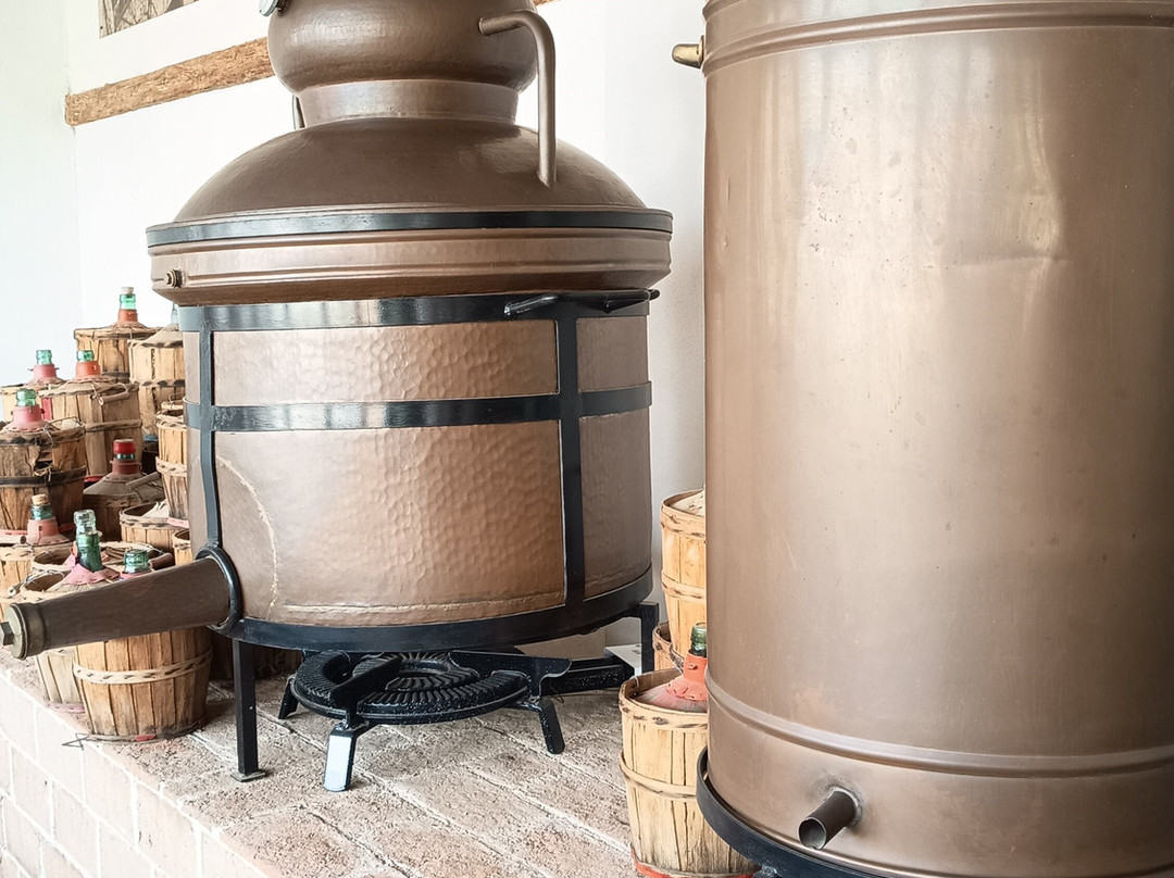 Casa Vermouth Padró-Brafim必去景点