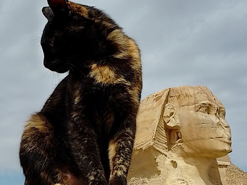 Desert Dreams-卢克索必去景点