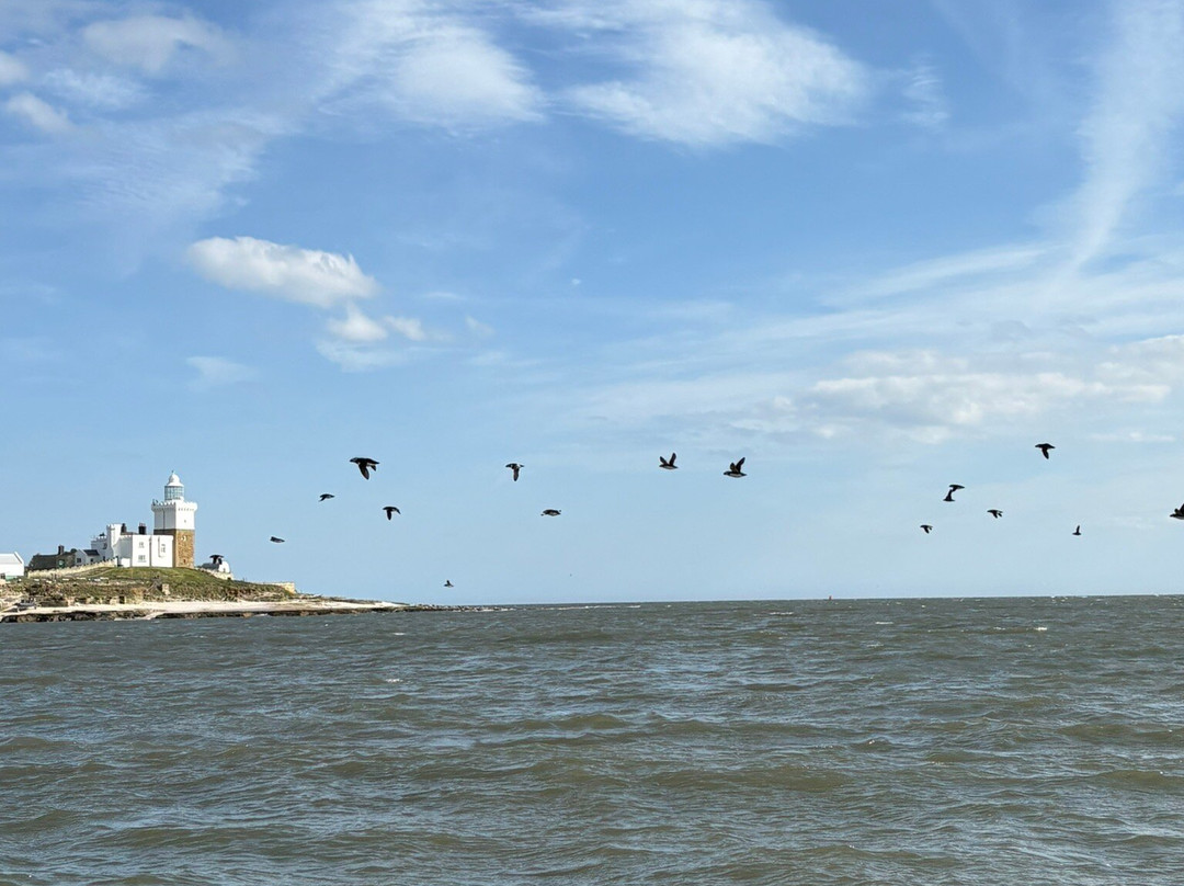 Puffin Cruises-Amble必去景点