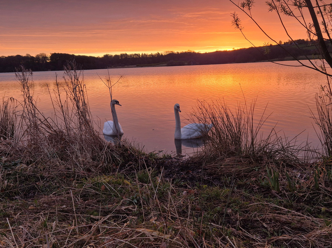 Talkin Tarn Park-卡莱尔必去景点