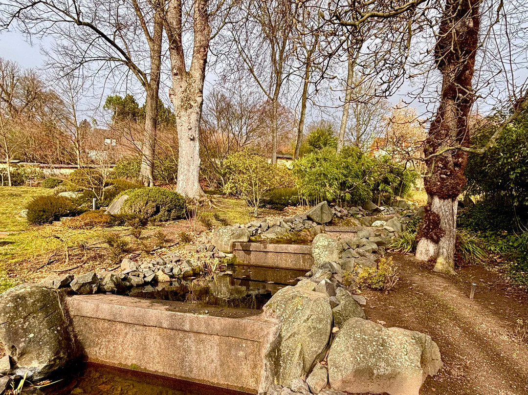 Japanischer Garten-凯撒斯劳滕必去景点