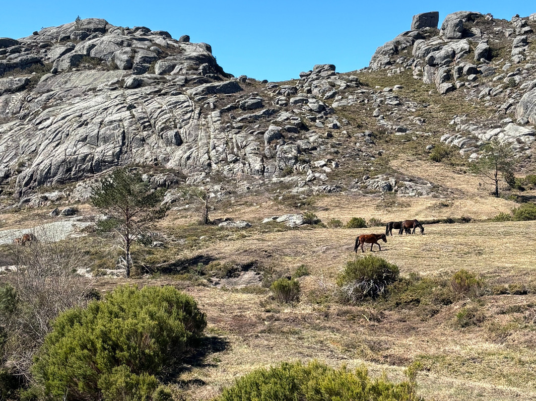 Ecotura, Ecotourism and Nature Retreats-Castro Laboreiro必去景点