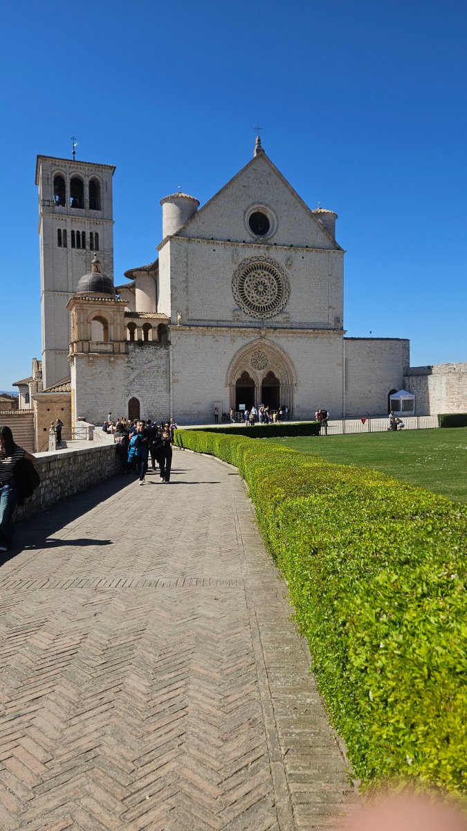 斯洛特拉住宅酒店-官方