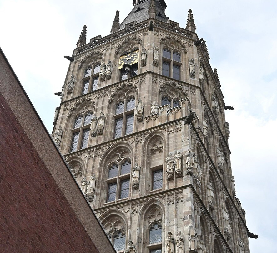 Historic Town Hall-科隆必去景点