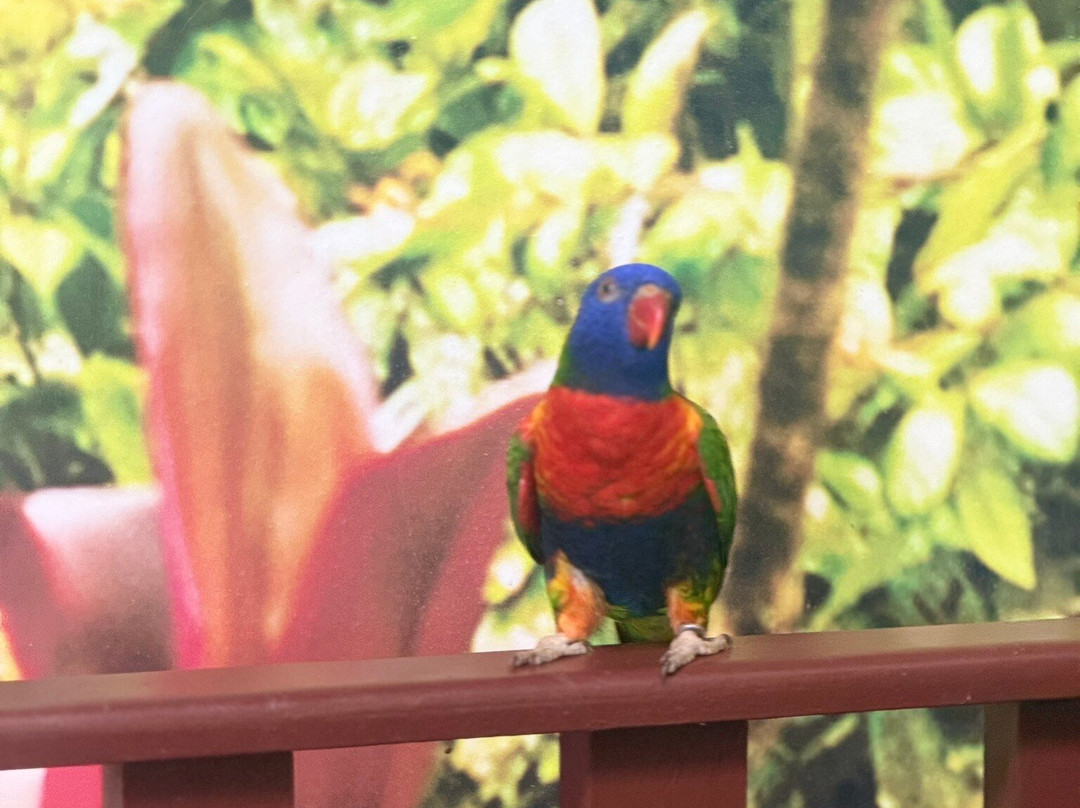 Oceanic Aquarium-康泊琉海水浴场必去景点