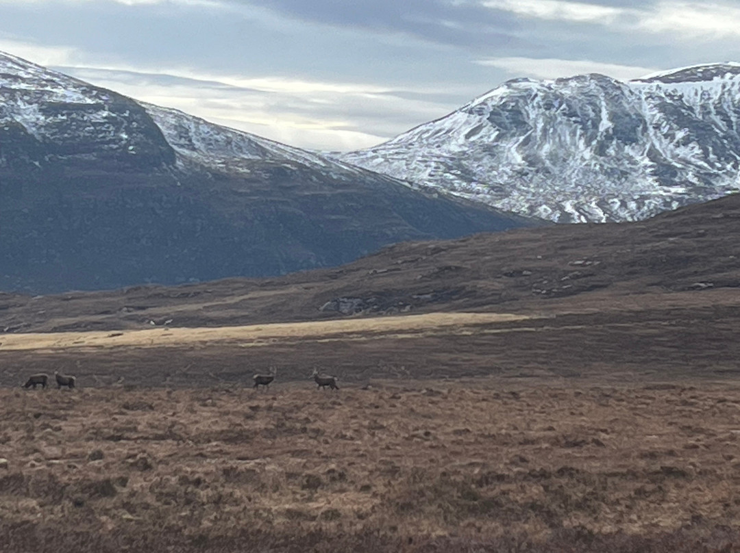 The Peatcutter's Croft主图