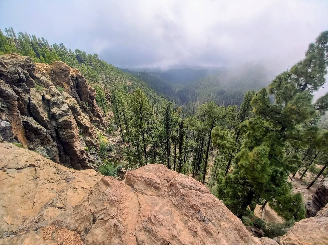 Tenerife Guided Walks-洛斯克里斯蒂亚诺斯必去景点