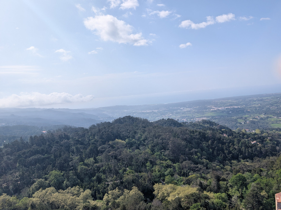Lanetours-里斯本必去景点