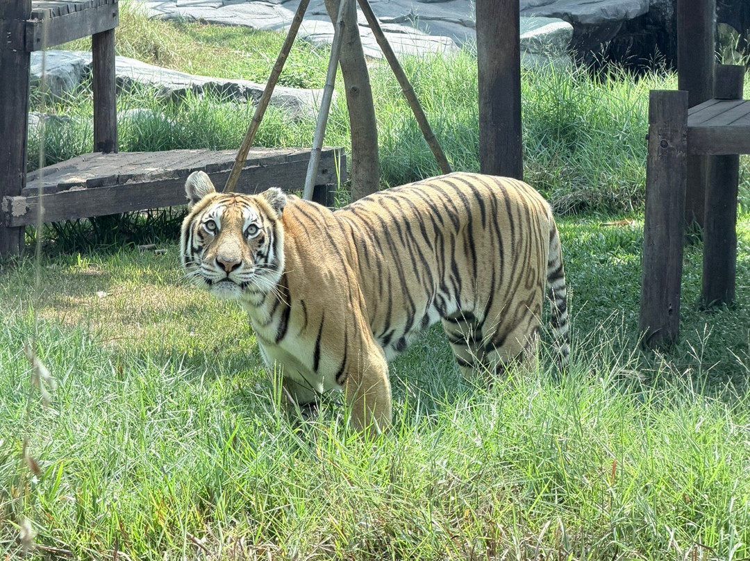 Angkor Wildlife & Aquarium-暹粒必去景点