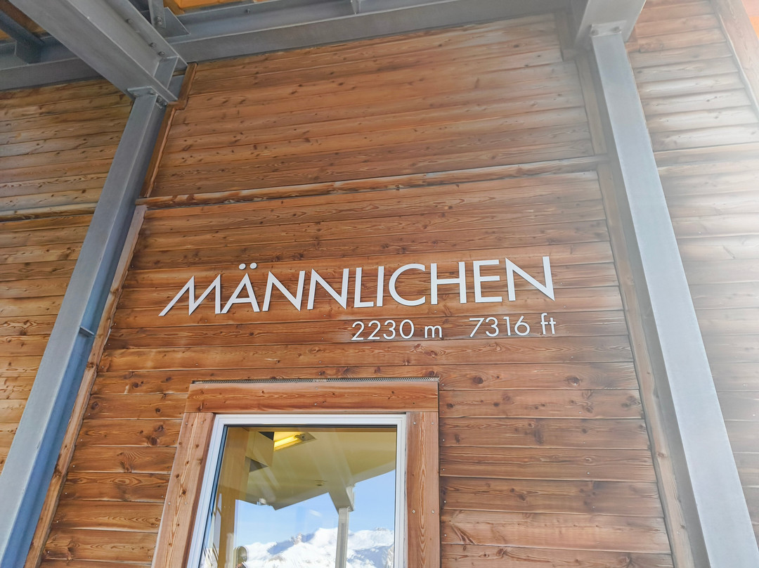 Luftseilbahn Wengen-Männlichen-翁根必去景点