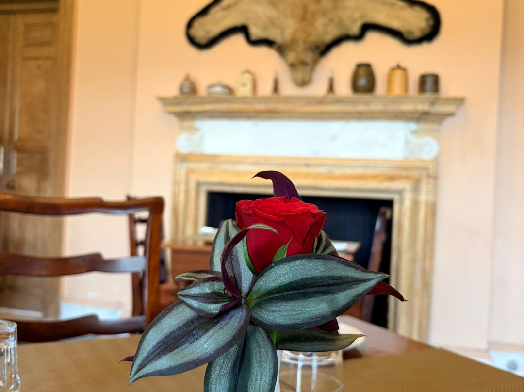 拉姆格尔酒店 - 齐普尔- IHCL 精选酒店主图