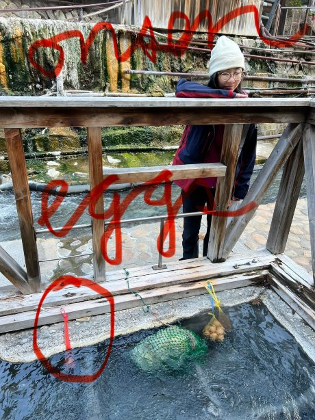 阿度玛雅日式旅馆-旅行者