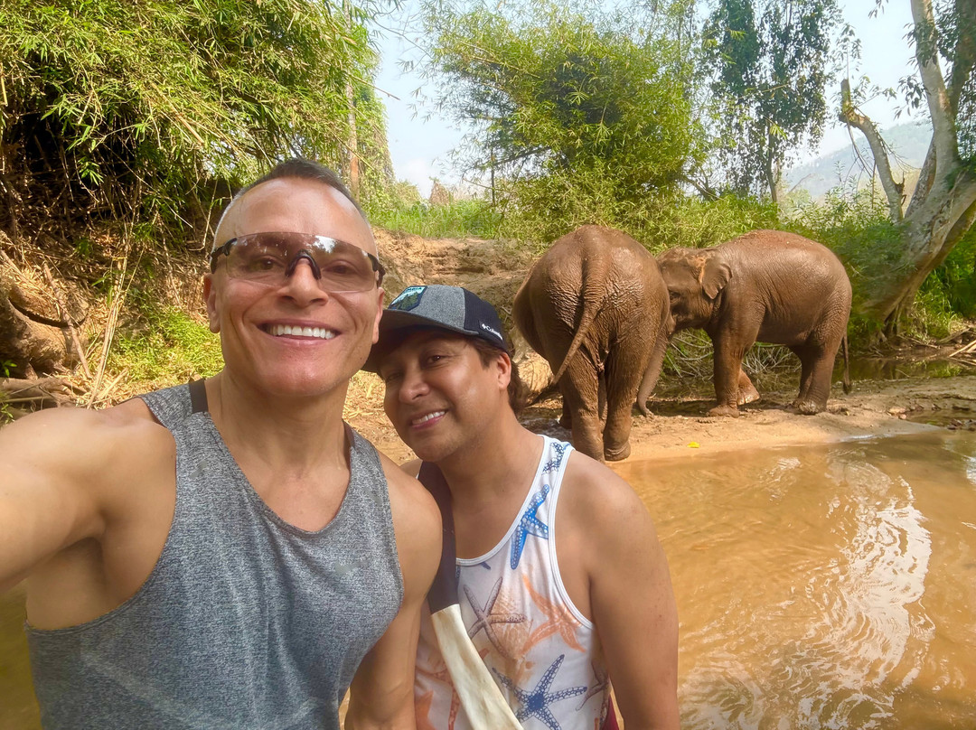 Elephant Sanctuary Care Park-清迈必去景点