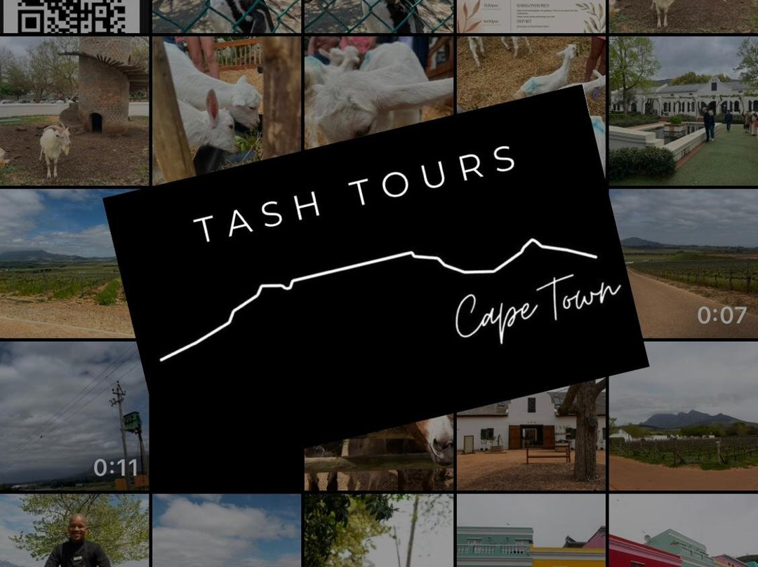 Tash Tours Cape Town