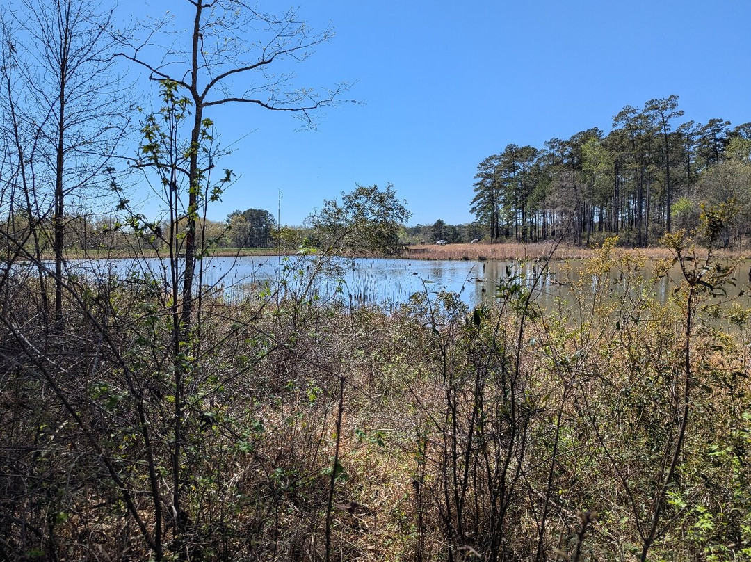 Piedmont National Wildlife Refuge-Juliette必去景点