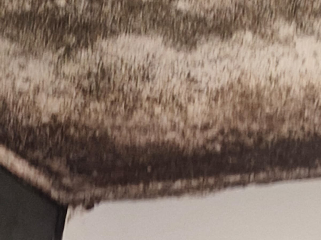 克莱伯酒店主图