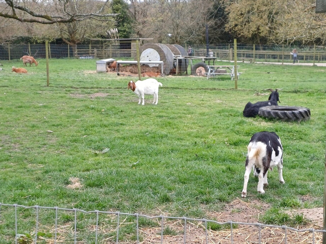 Kingston Maurward Park And Gardens-多切斯特必去景点
