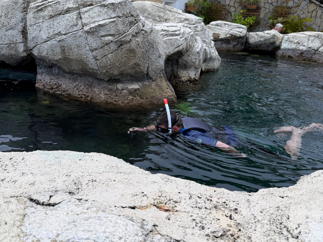 Ocean World Adventure Park, Puerto Plata-普拉塔港必去景点