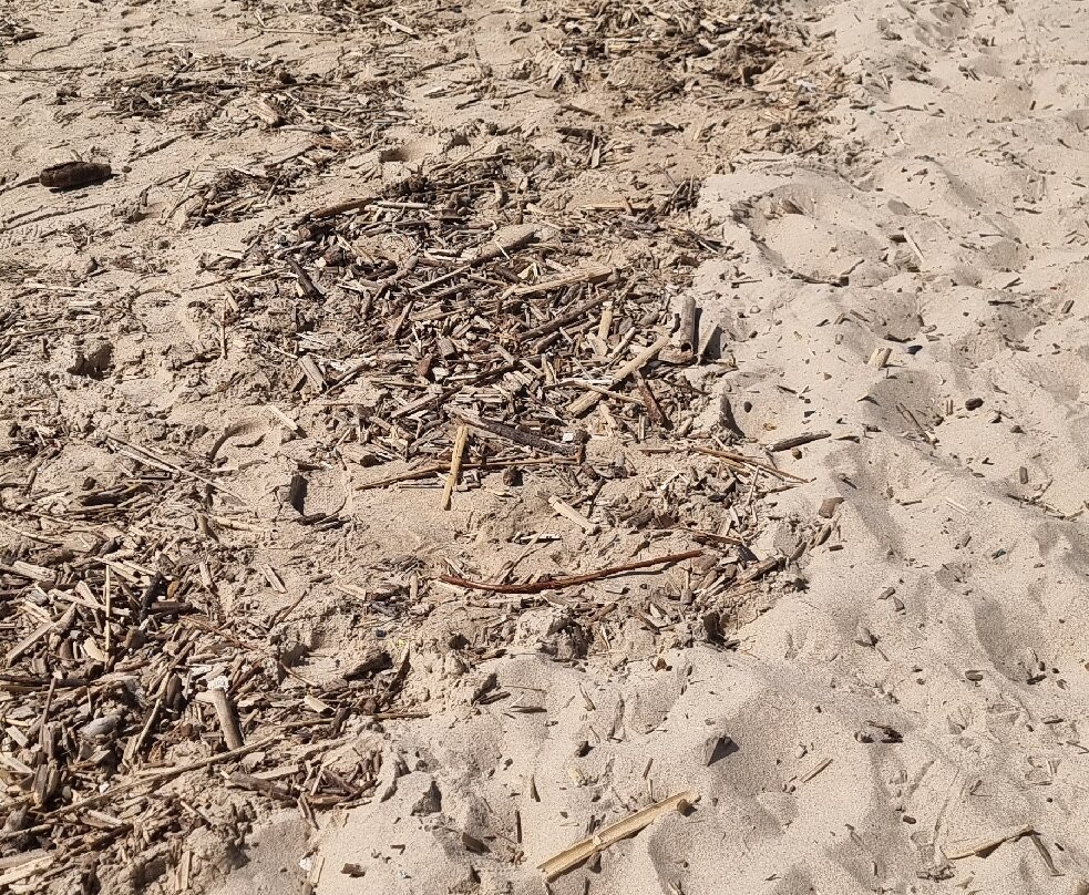 Praia da Torre-奥埃拉斯必去景点