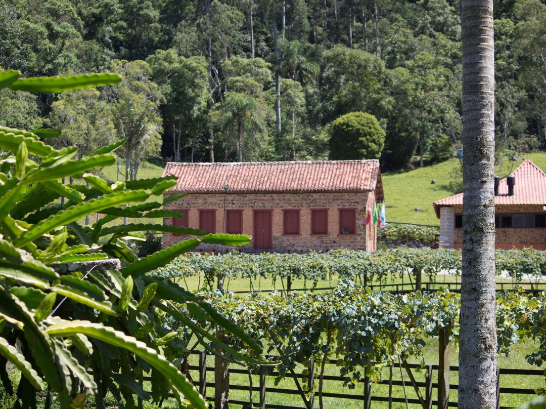 igreja de São Marcos-Pedras Grandes必去景点