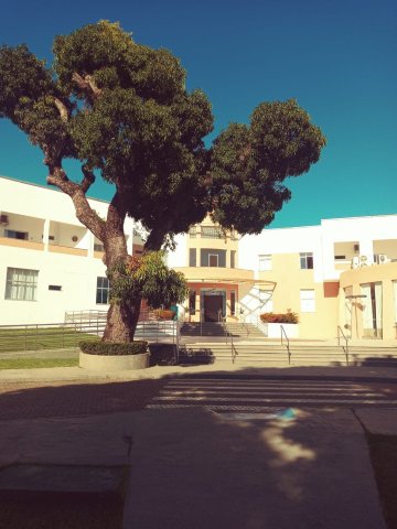 Grande Hotel Sesc Itaparica-旅行者