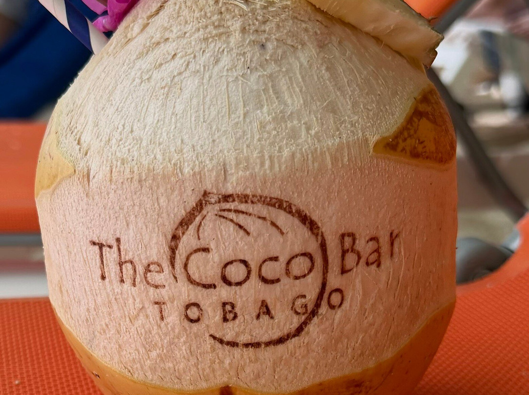 Pigeon Point Beach-多巴哥必去景点