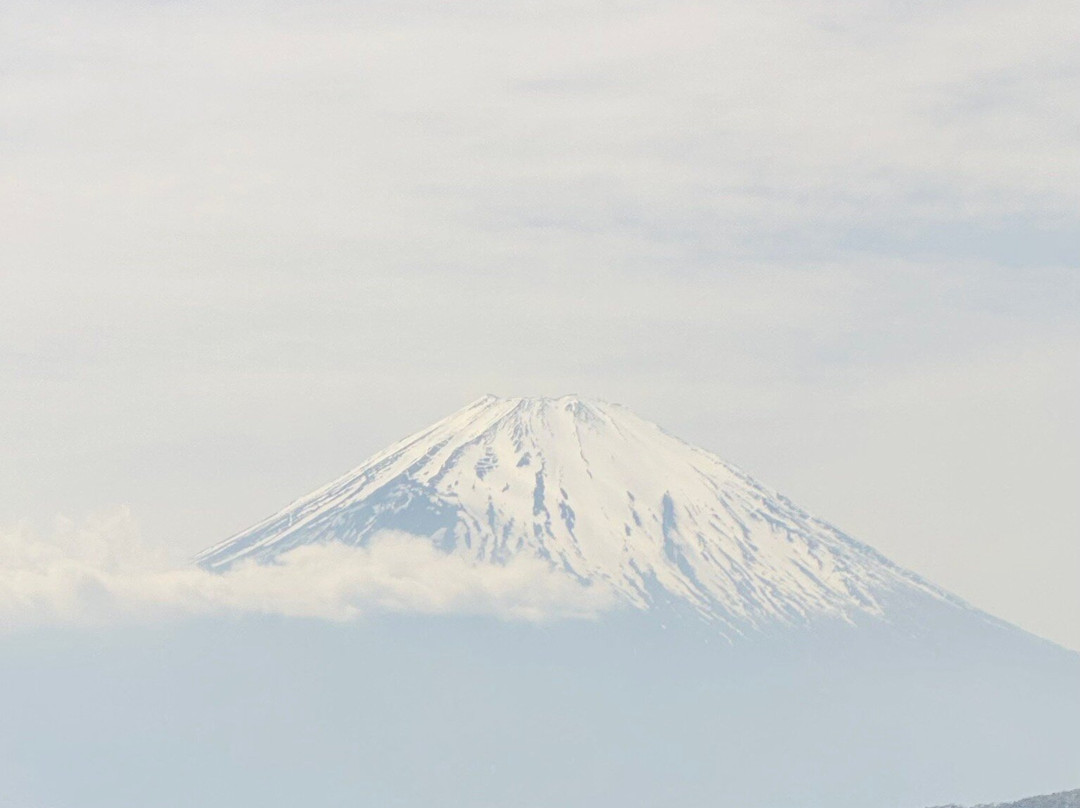 河口湖天上山公园Kachikachi山缆车-富士河口湖町必去景点