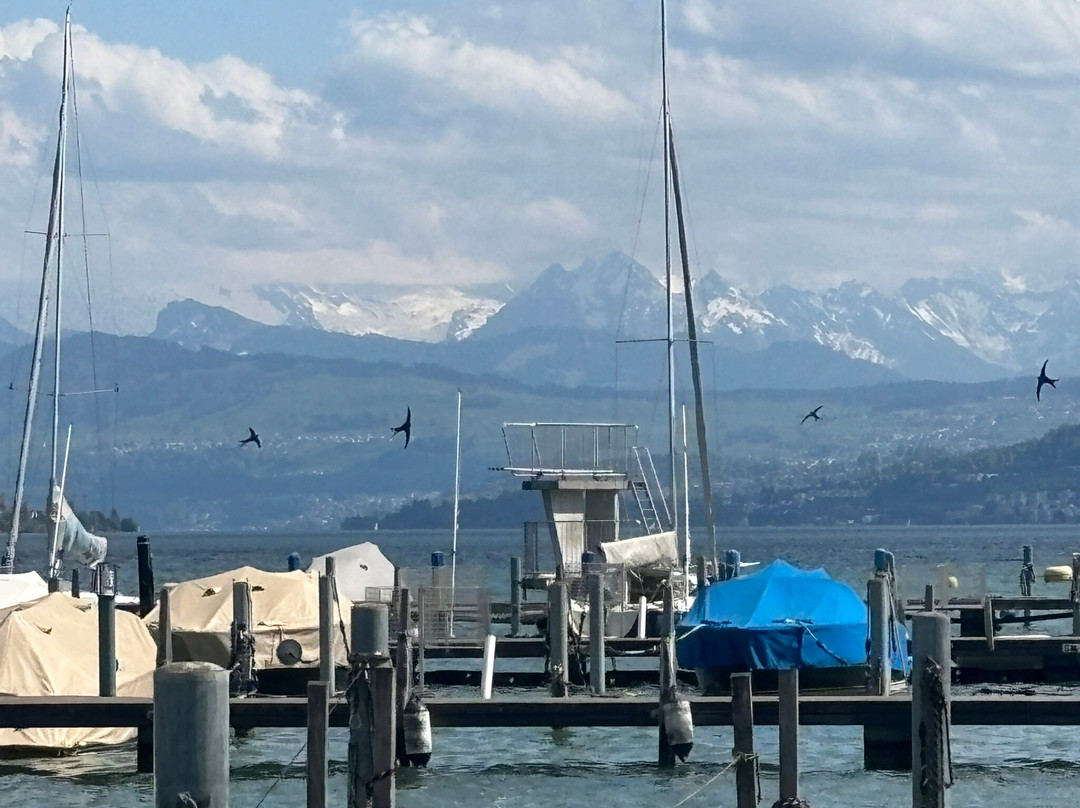 Meininger Hotel Zürich Greencity主图