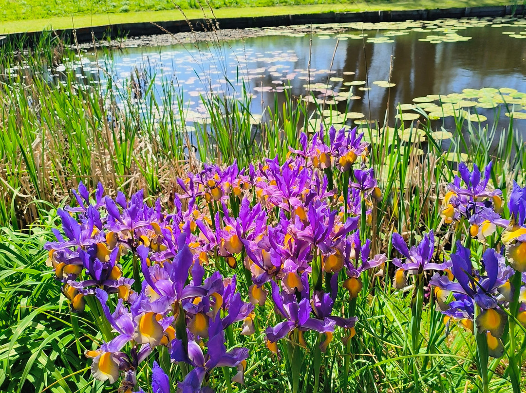 Hole Park Gardens-Rolvenden必去景点